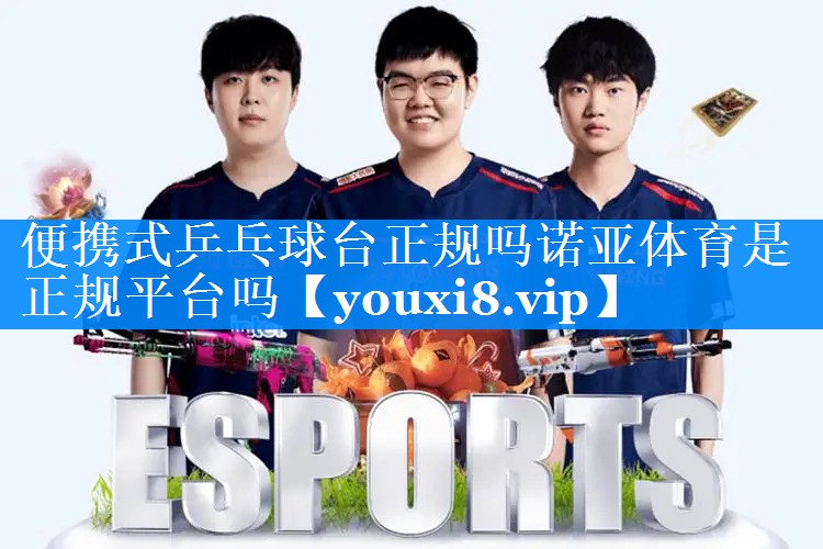 便携式乒乓球台正规吗诺亚体育是正规平台吗