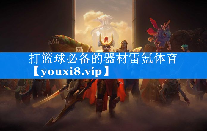 打篮球必备的器材雷氪体育