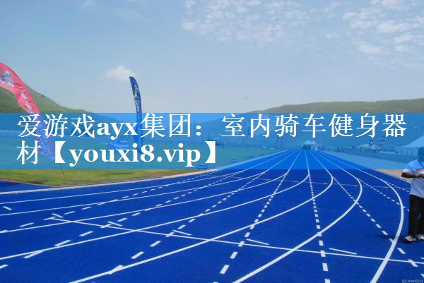 爱游戏ayx集团：室内骑车健身器材