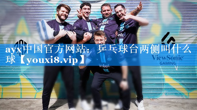 ayx中国官方网站：乒乓球台两侧叫什么球