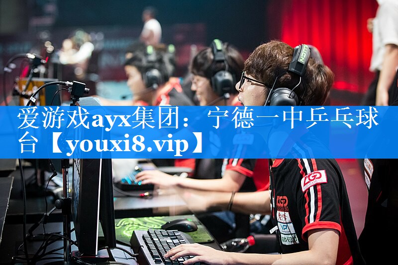 爱游戏ayx集团：宁德一中乒乓球台