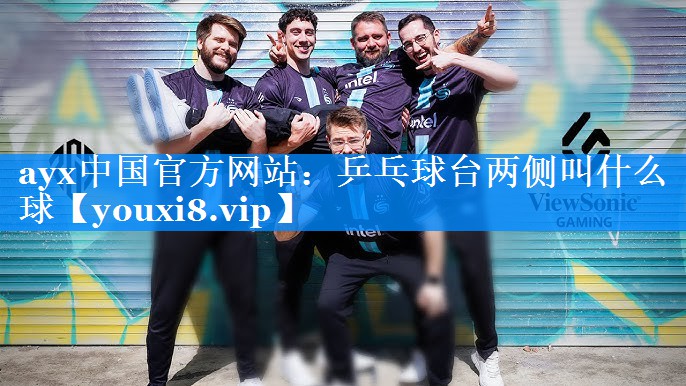 乒乓球台两侧叫什么球