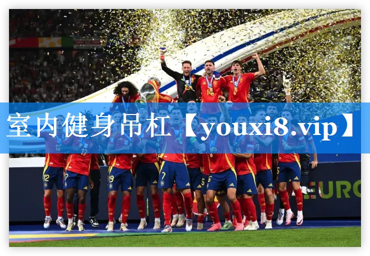 室内健身吊杠 室内健身吊杠
